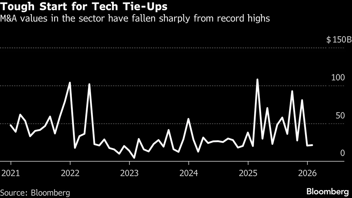 The Great Re-evaluation | Why Software's Shine is Dimming for Dealmakers
